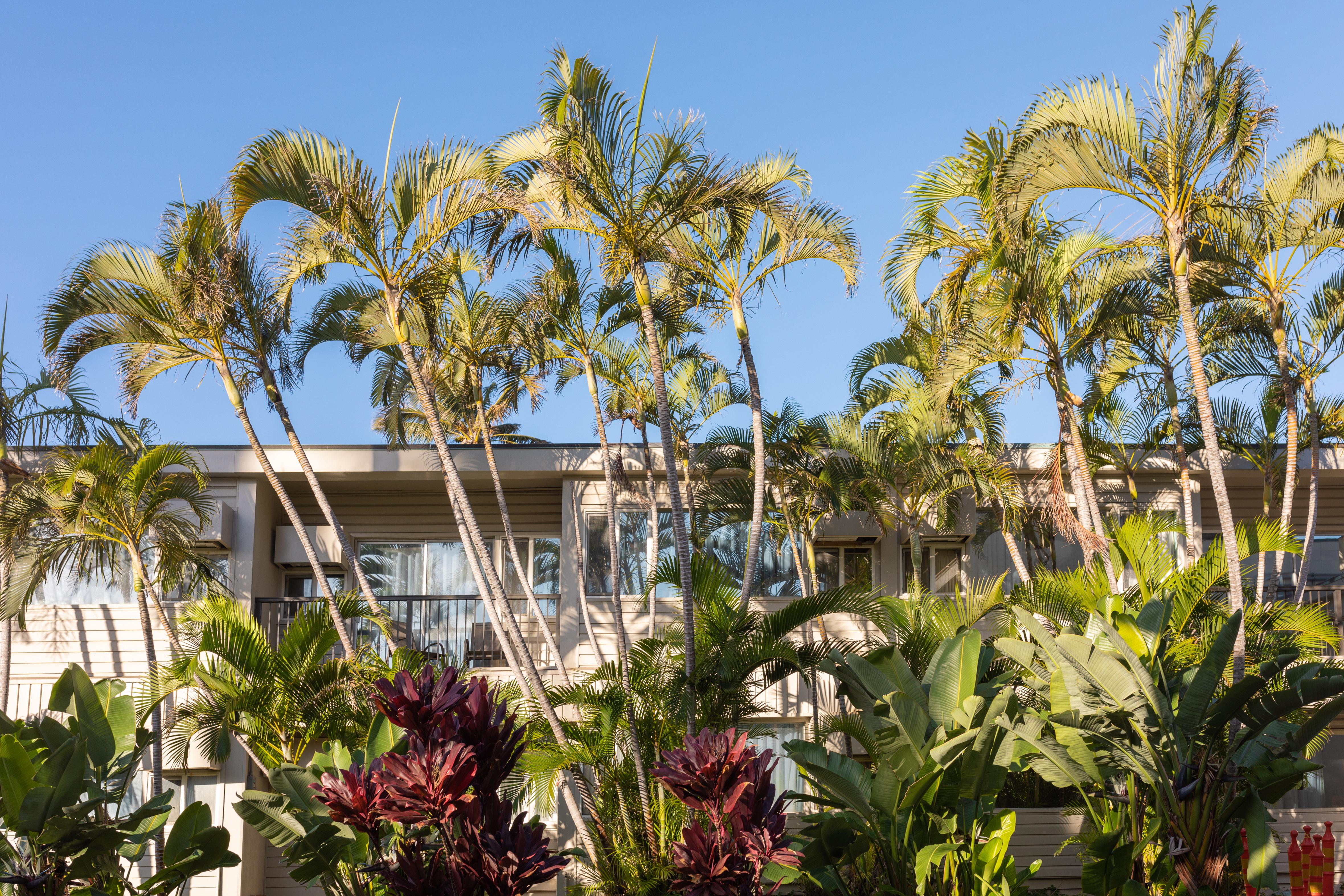 Maui Beach Hotel Kahului Extérieur photo