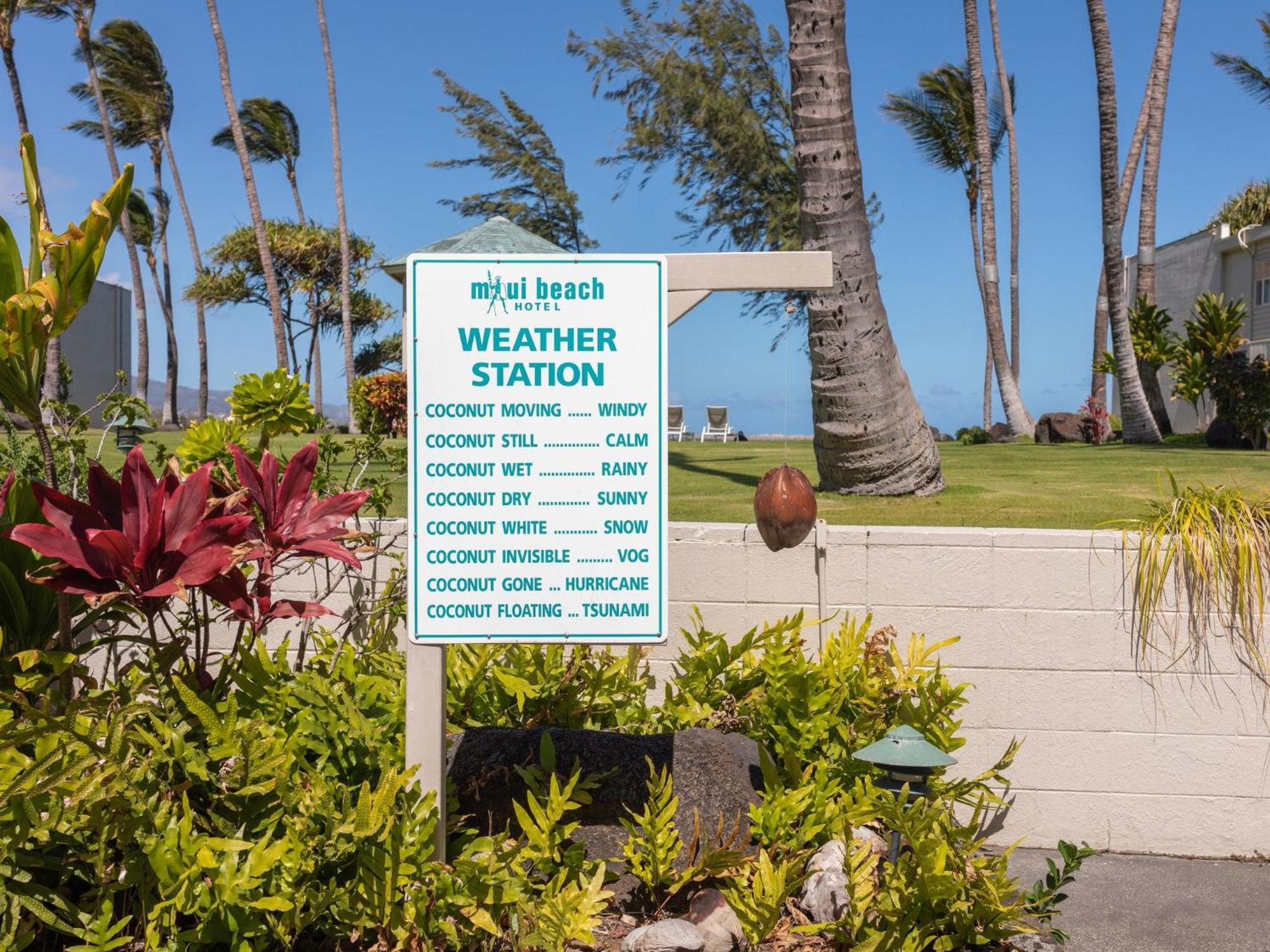 Maui Beach Hotel Kahului Extérieur photo